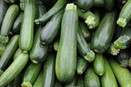 Squash, Zucchini, Organic, Sold per pound