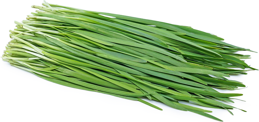 Chives, Garlic, Org, Local, fresh herb, 2 oz
