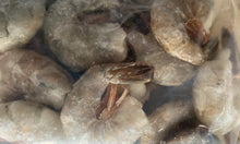 Load image into Gallery viewer, Shrimp, Blue Mexican, Wild Caught, Jumbo, Del Pacifico
