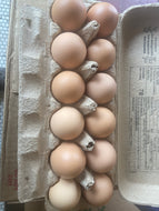 Eggs, Local, Pasture Raised, Wholesome Meadows Farm, 1 Dozen