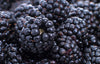 Blackberries, Fresh, Organic