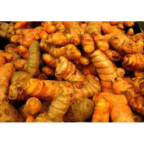 Fresh Turmeric Root, Org, Small Farm, sold by the pound