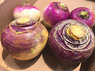 Turnips, Organic, Sold per lb
