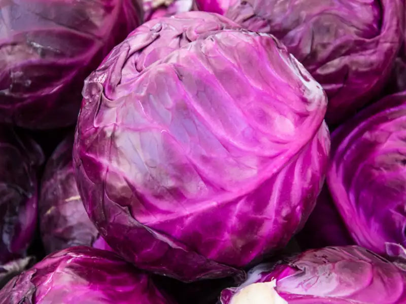 Cabbage, Red, Organic, sold per pound