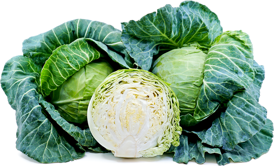 Cabbage, Green, Organic, sold per pound
