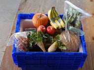 Your Choice Bin + $35 of Groceries