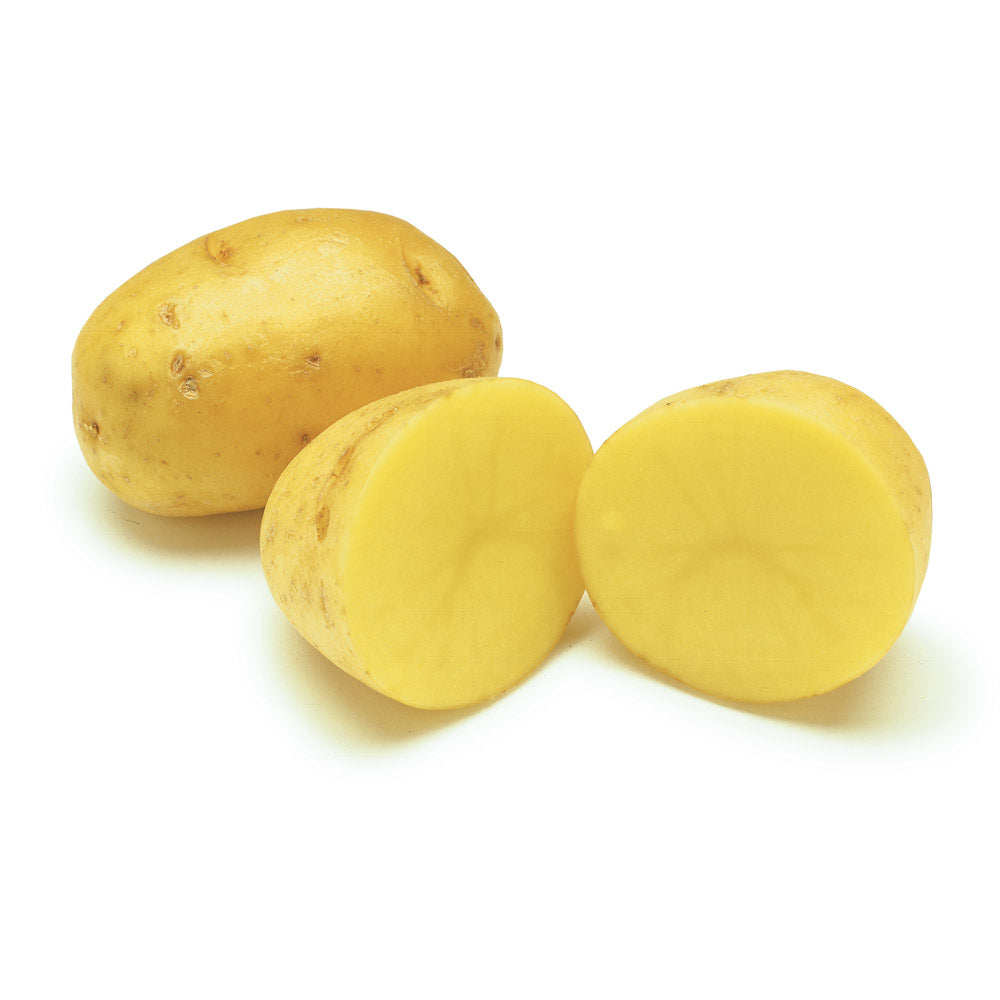 Potatoes, Gold, Organic, sold by pound