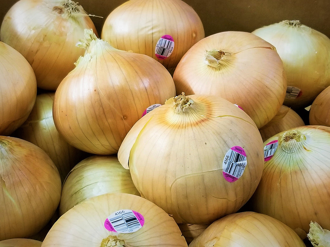 Onions, Organic, Sweet,  Sold per pound