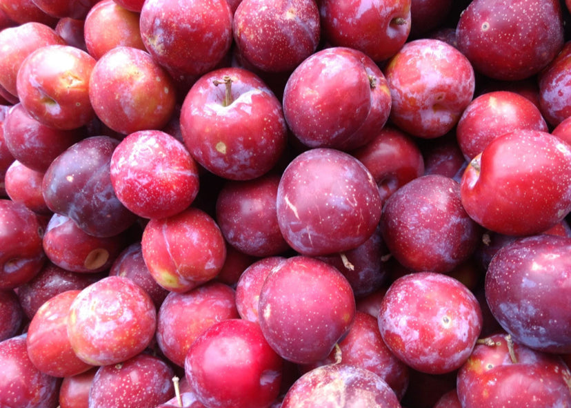Plums, Red, Organic, old individually.