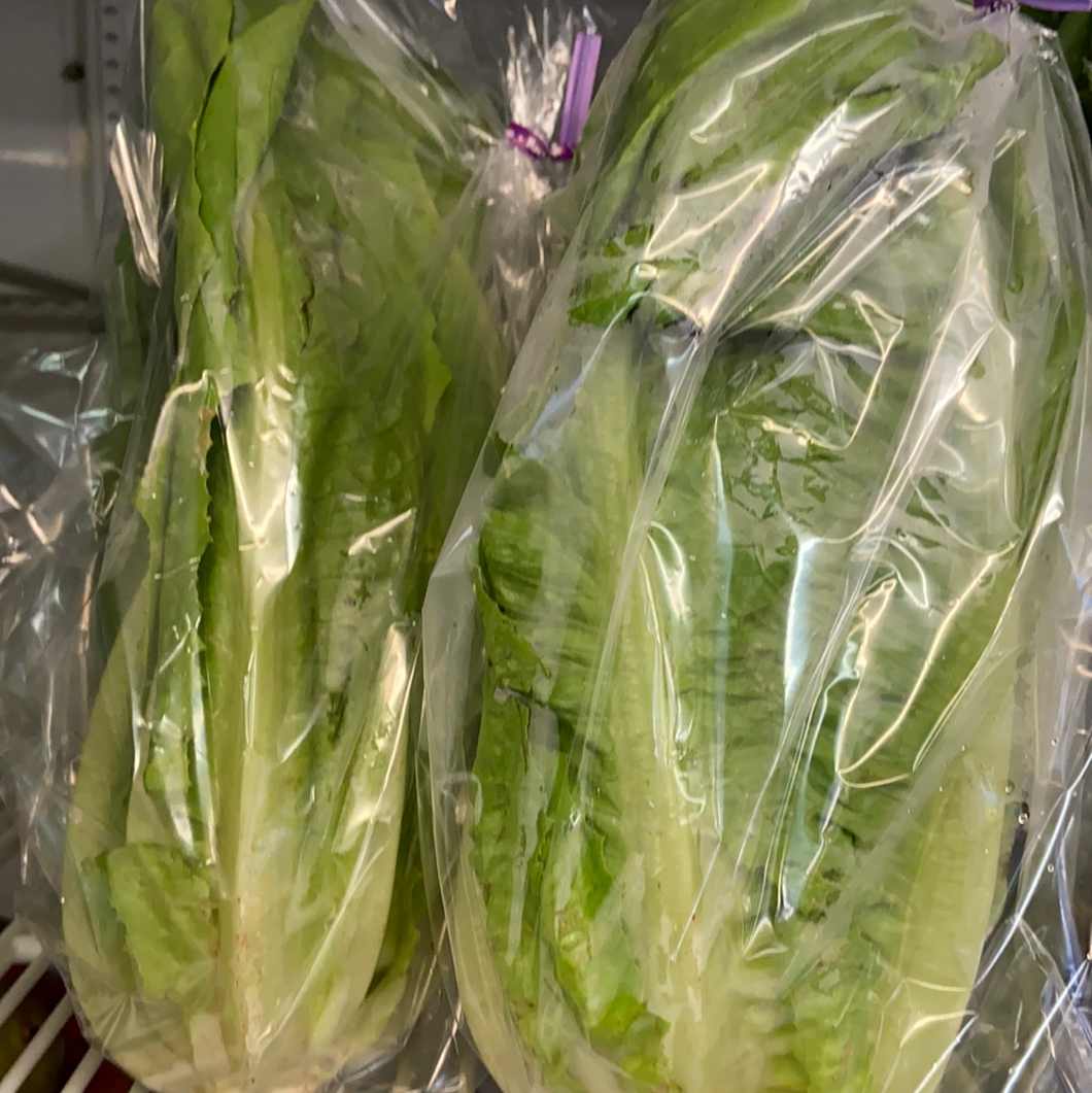Lettuce, Romaine, Green, Organic, Sold Each