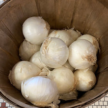 Load image into Gallery viewer, Onions, White, Organic, Sold by weight
