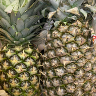 Pineapple, Organic, Priced Each