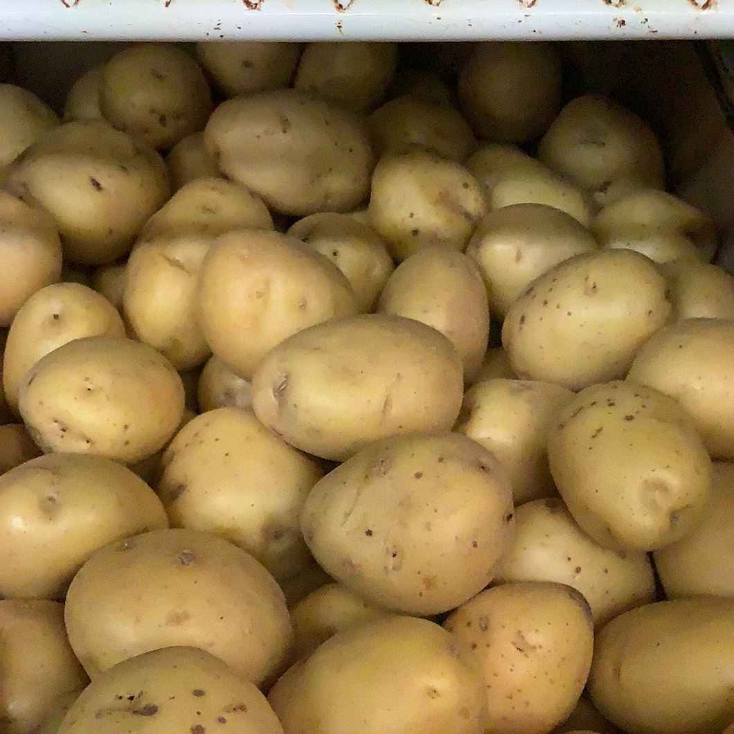 Potatoes, Organic Yellow, 3lb bags