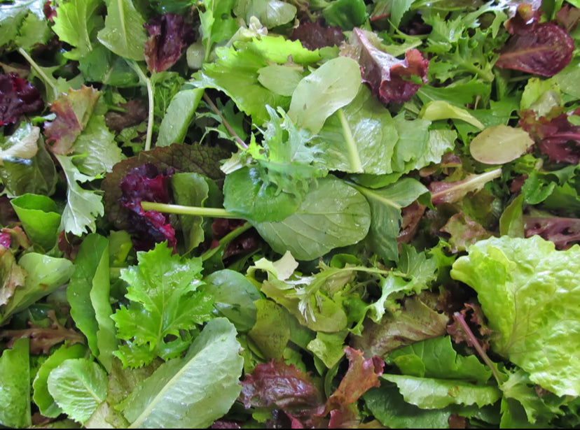 Lettuce, Organic Mixed Baby Greens, Salad/Spring mix