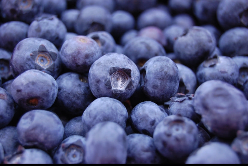 Blueberries, Organic, Pint