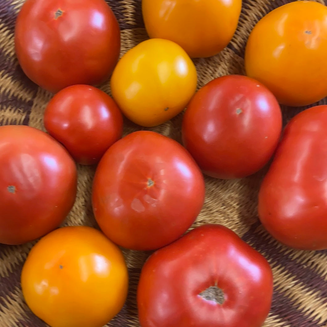 Tomatoes, Local, Organic, Heirloom & Red by the pound!