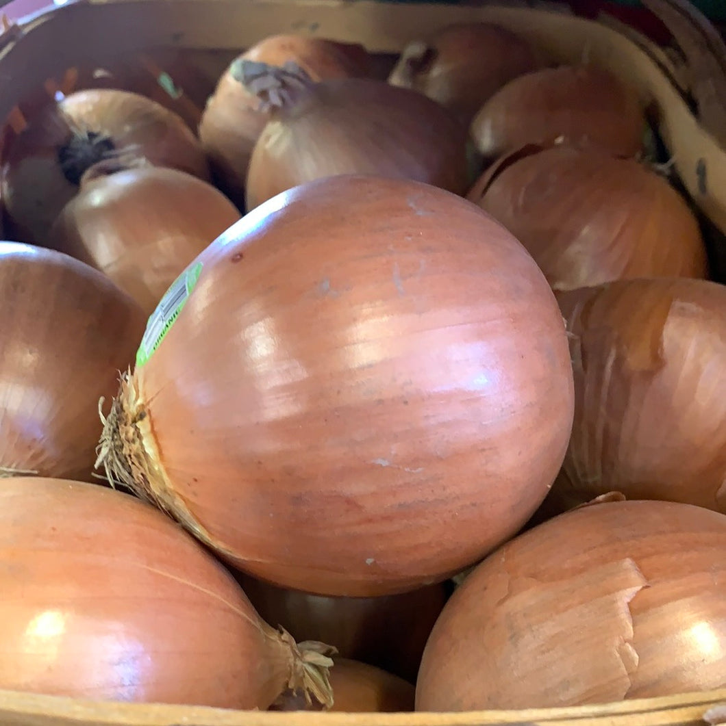 Onions, Yellow, Organic, Sold by Weight
