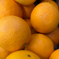 Oranges, Navel, Organic, Sold each