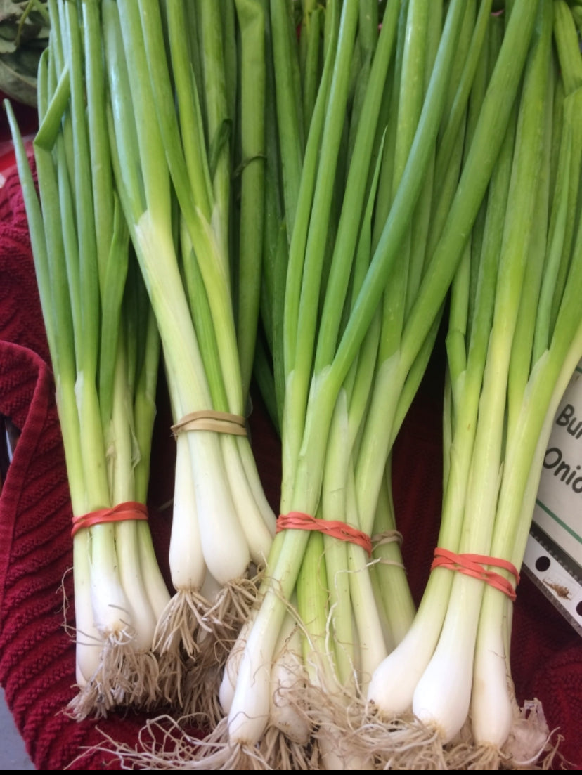 Green Onions, Organic (Scallions)