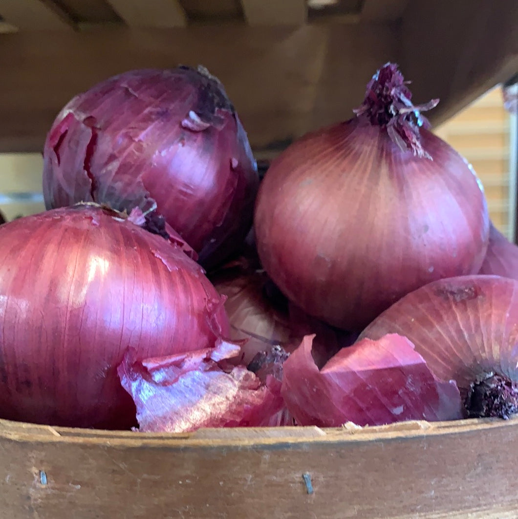 Onions, Red, Organic, Sold by weight