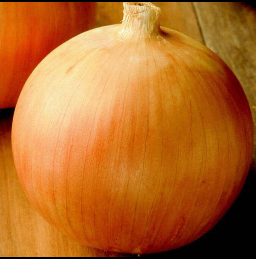 Onion, Vidalia, Sweet, Organic
