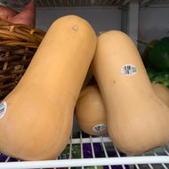 Squash, Butternut, Organic, Local, sold individually